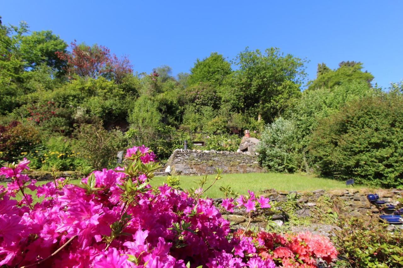 Clyde View B&B Данун Экстерьер фото